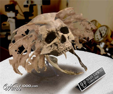 Photoshop Design by spiraleye