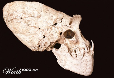 Photoshop Design by lekantonnais