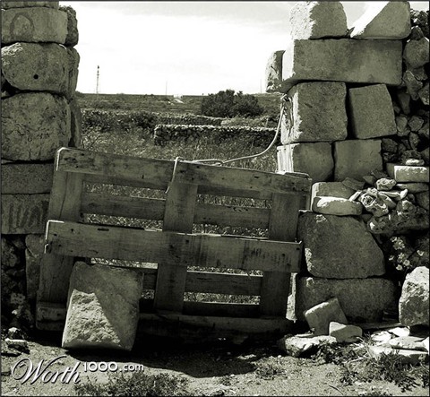 Photography by artissa