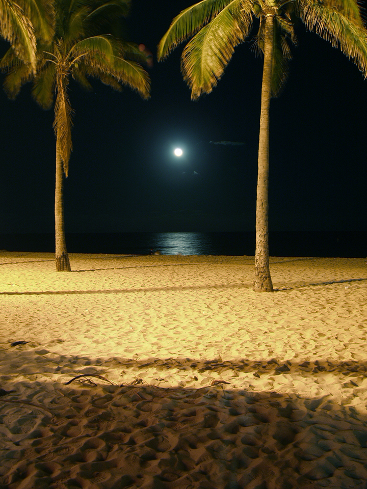 Photography by berecca68 for DesignCrowd (Community Contests) | Design #9078570
