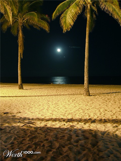 Photography by berecca68