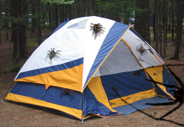 Photoshop Design by LyssaOdyne for DesignCrowd (Community Contests) | Design #9081652