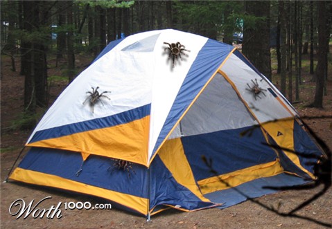 Photoshop Design by LyssaOdyne