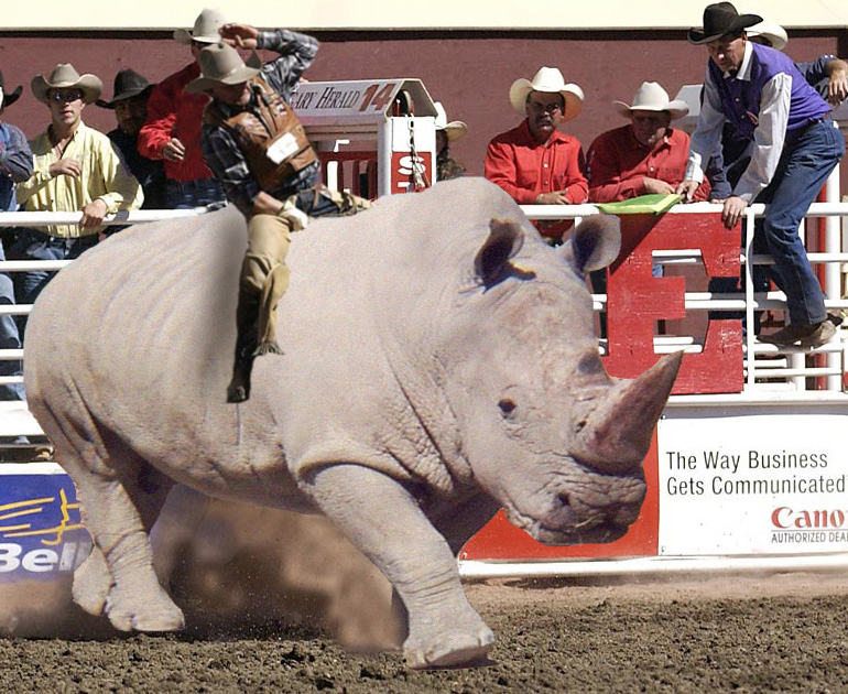 Photoshop Design by pezzer66 for DesignCrowd (Community Contests) | Design #9080099