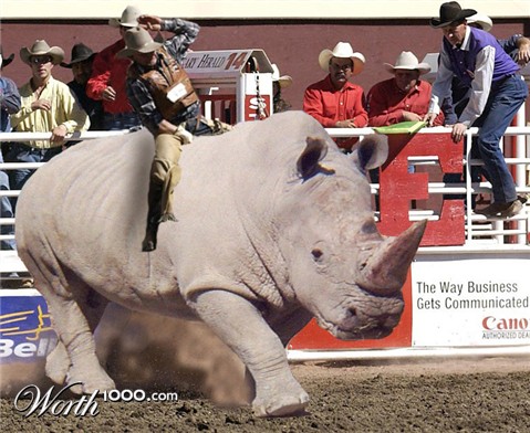 Photoshop Design by pezzer66