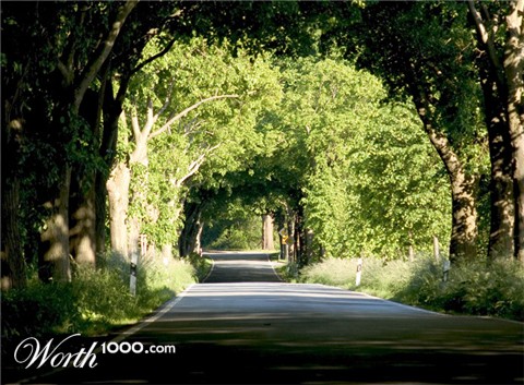 Photography by StefanS