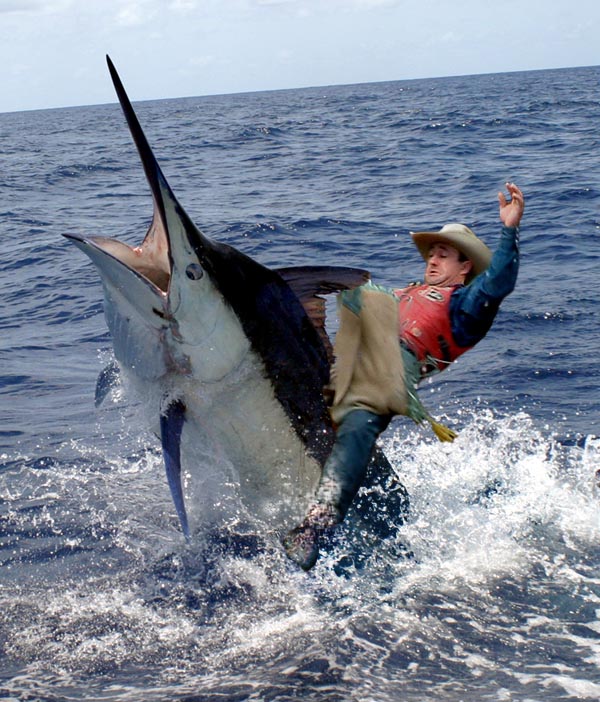 Design Photoshop par Carpetshark pour DesignCrowd (Community Contests) | Design #9080107