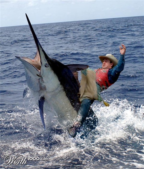 Photoshop Design by Carpetshark