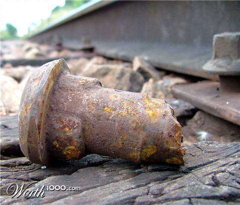 Photography by ADROALDO