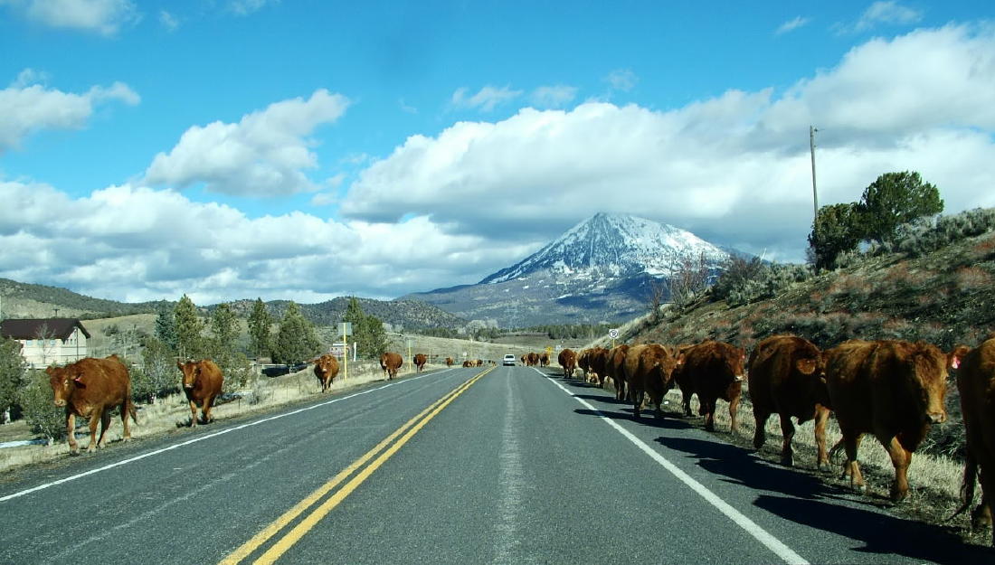 Fotografie von mmc9496 für DesignCrowd (Community Contests) | Design #9081785