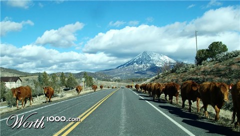 Photography by mmc9496