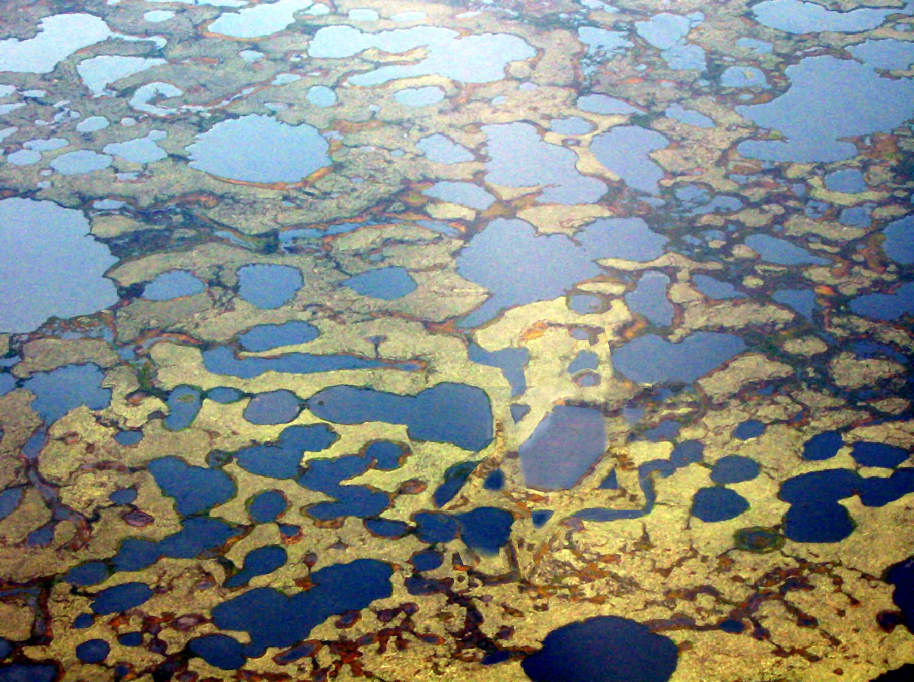 Photoshop Design by odi14gal for DesignCrowd (Community Contests) | Design #9078837