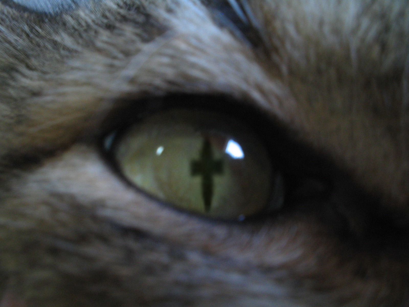 Photoshop Design by lostjoe for DesignCrowd (Community Contests) | Design #9078863