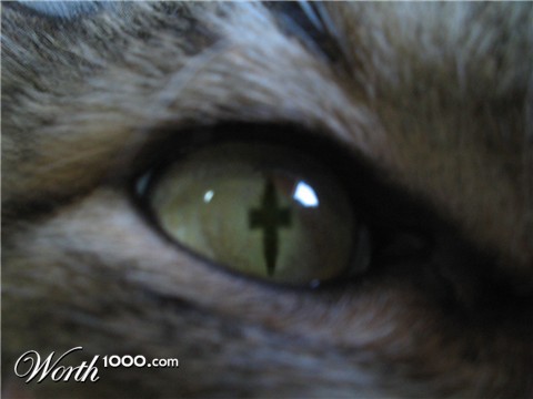 Photoshop Design by lostjoe