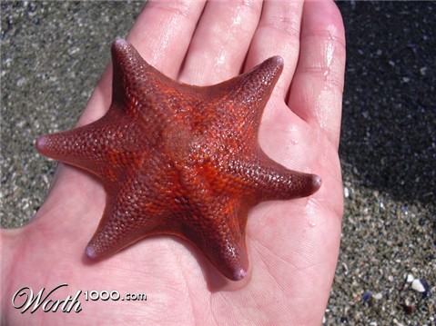 Photoshop Design by godzillatemple