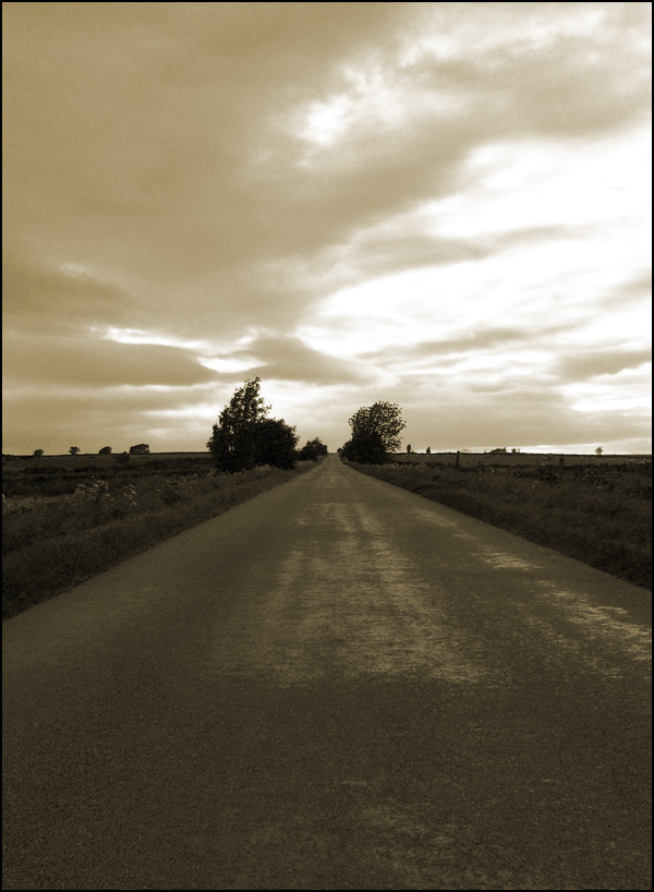 Photography by AceClown for DesignCrowd (Community Contests) | Design #9081908