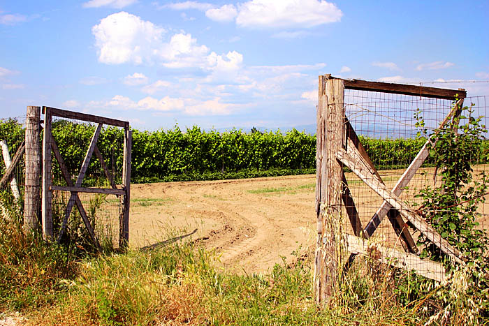 Photographie par Chiqui74 pour DesignCrowd (Community Contests) | Design #9079159