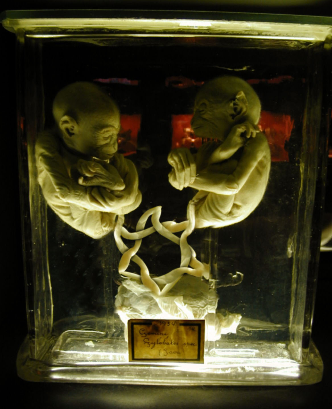 Photoshop Design by Sicknificant for DesignCrowd (Community Contests) | Design #9079023