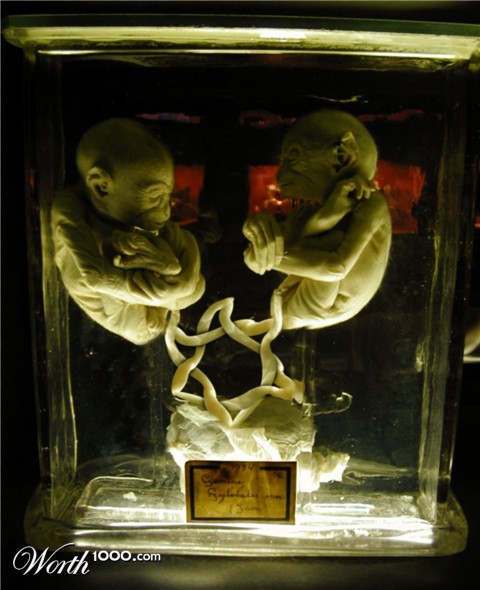 Photoshop Design by Sicknificant