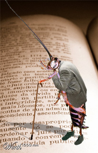 Photoshop Design by msNicole