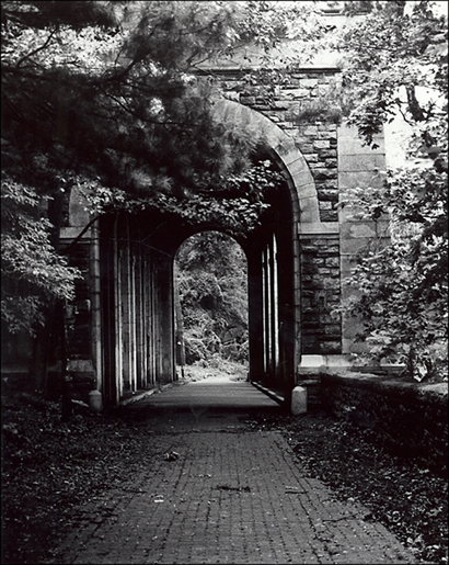 Fotografía por BabyGRL para DesignCrowd (Community Contests) | Diseño #9079205