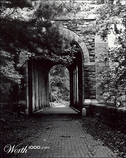 Photography by BabyGRL