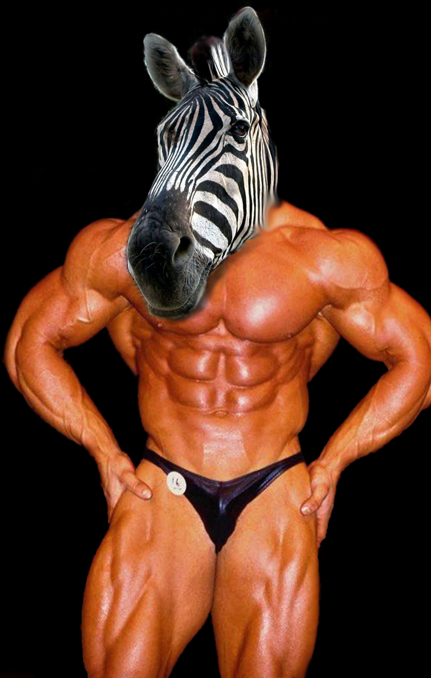 Photoshop Design by roastdawgg for DesignCrowd (Community Contests) | Design #9084872