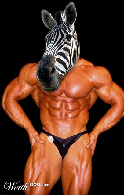 Photoshop Design by roastdawgg