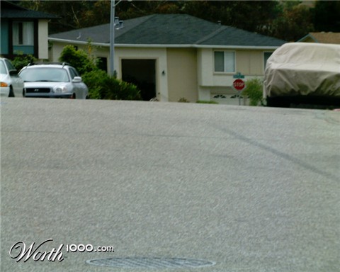 Photography by floatingmonk