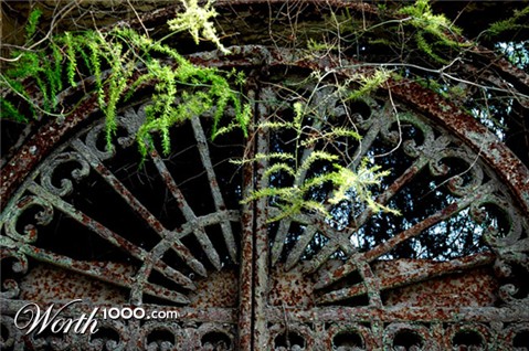 Photography by Ronbrandt