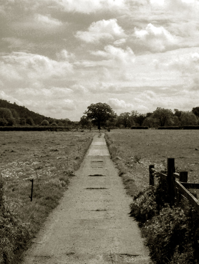 Photography by Craigr1978 for DesignCrowd (Community Contests) | Design #9081927