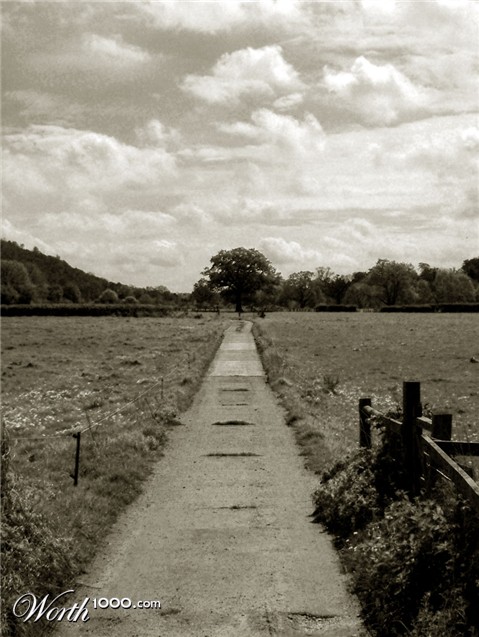 Photography by Craigr1978
