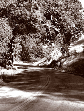 Photography by TtownGirl for DesignCrowd (Community Contests) | Design #9081884