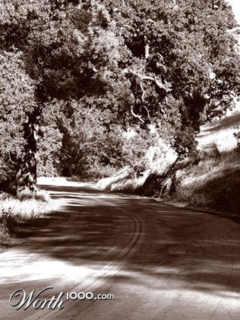 Photography by TtownGirl