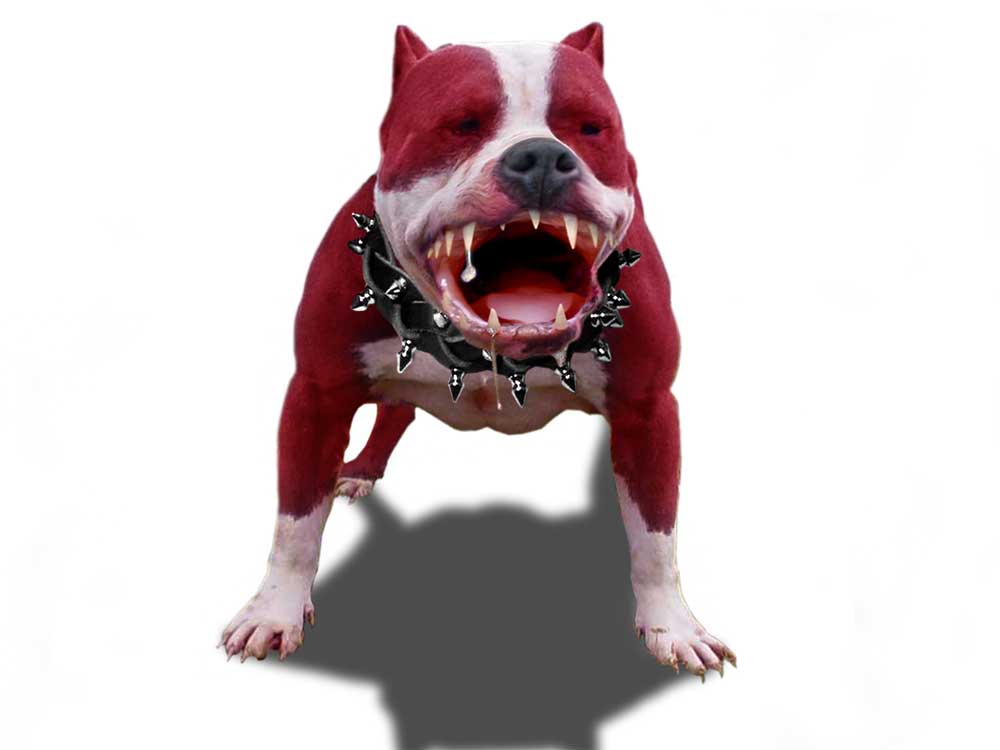 Photoshop Design by MrMouse for DesignCrowd (Community Contests) | Design #9084904