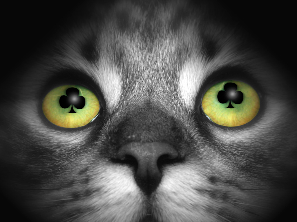 Design Photoshop par Cheshirecat1582 pour DesignCrowd (Community Contests) | Design #9078989