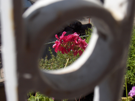 Fotografía por danvel para DesignCrowd (Community Contests) | Diseño #9084392