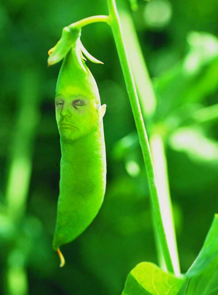 Photoshop-Design von adamcoop280 für DesignCrowd (Community Contests) | Design #9085037