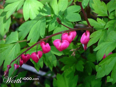 Photoshop Design by redmelons