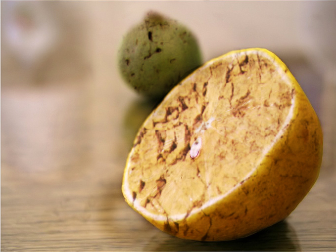 Design Photoshop par HeatherB pour DesignCrowd (Community Contests) | Design #9084967