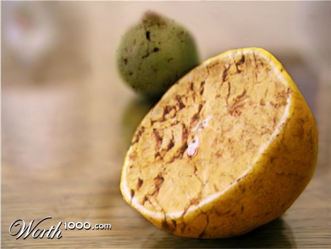 Photoshop Design by HeatherB