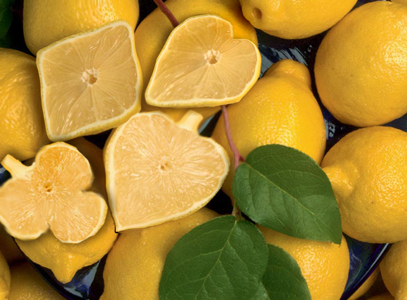 Photoshop Design by fresh2death for DesignCrowd (Community Contests) | Design #9079121