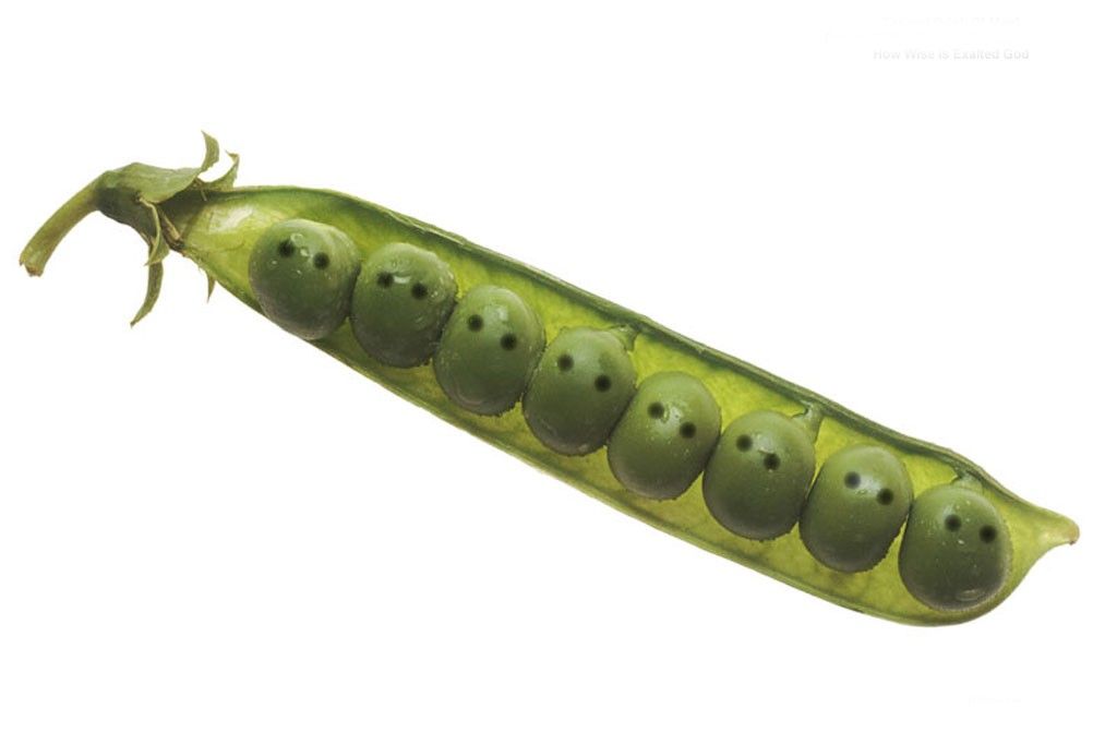 Photoshop Design by marcelreigersberg for DesignCrowd (Community Contests) | Design #9084997