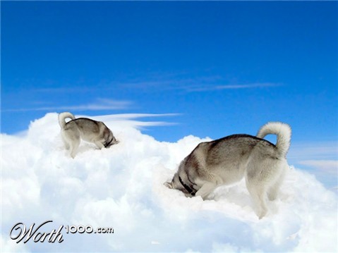 Photoshop Design by Koosricardo