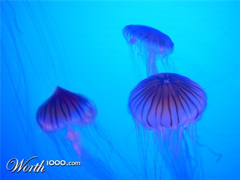 Photoshop Design by smilingface