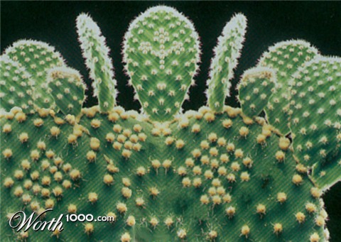 Photoshop Design by vampireflamingo