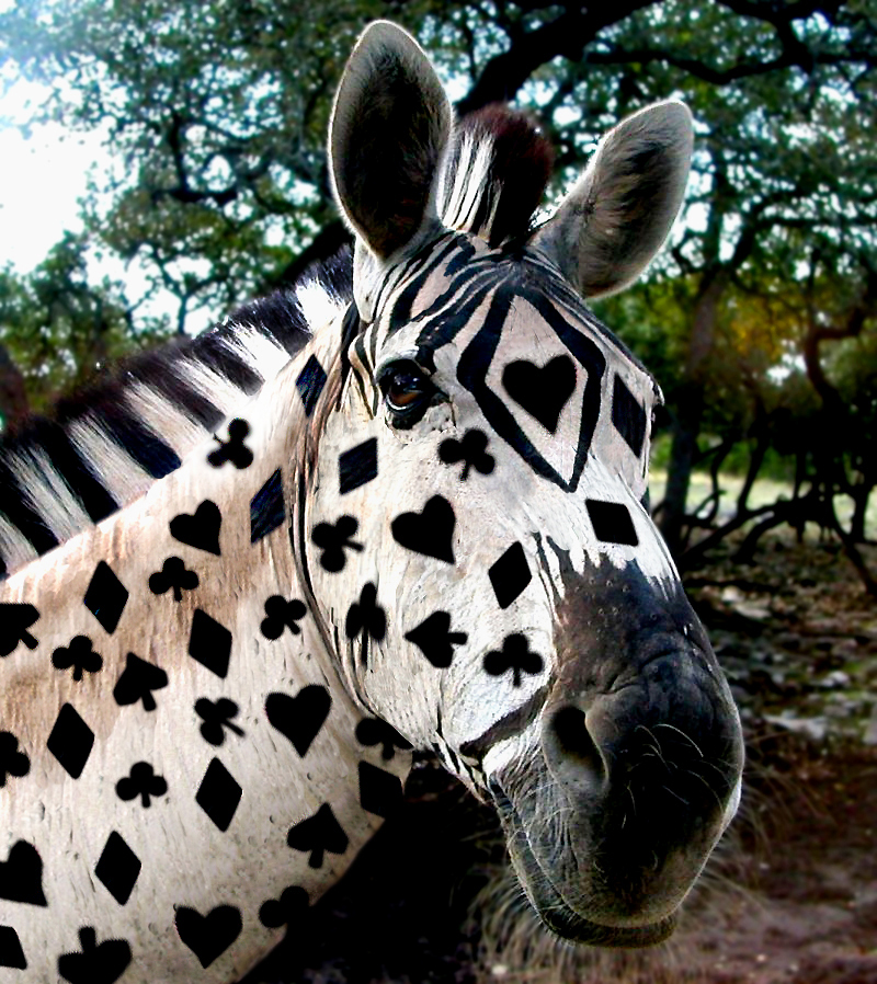 Diseño de Photoshop por Koosricardo para DesignCrowd (Community Contests) | Diseño #9079165