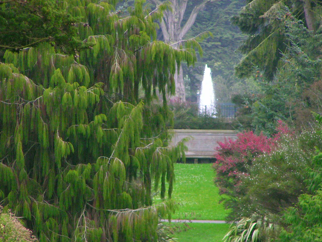 Fotografie von klxner für DesignCrowd (Community Contests) | Design #9084400