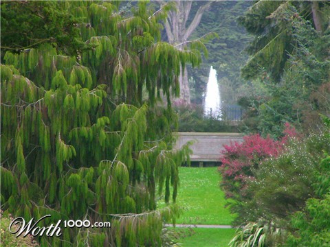 Photography by klxner