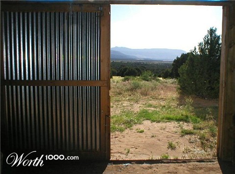 Photography by ShooterSue